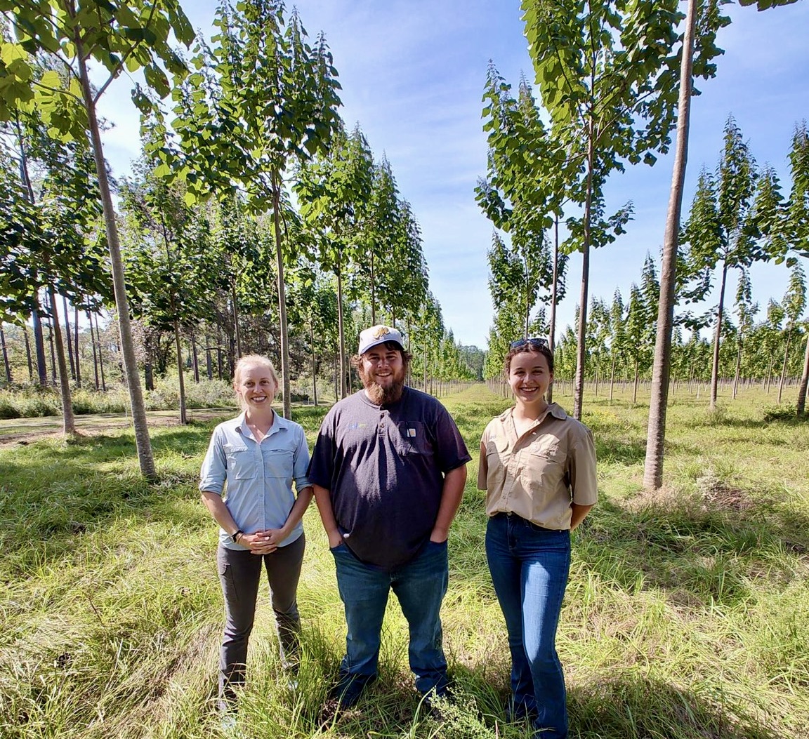 MicrosoftTeams-image (45)